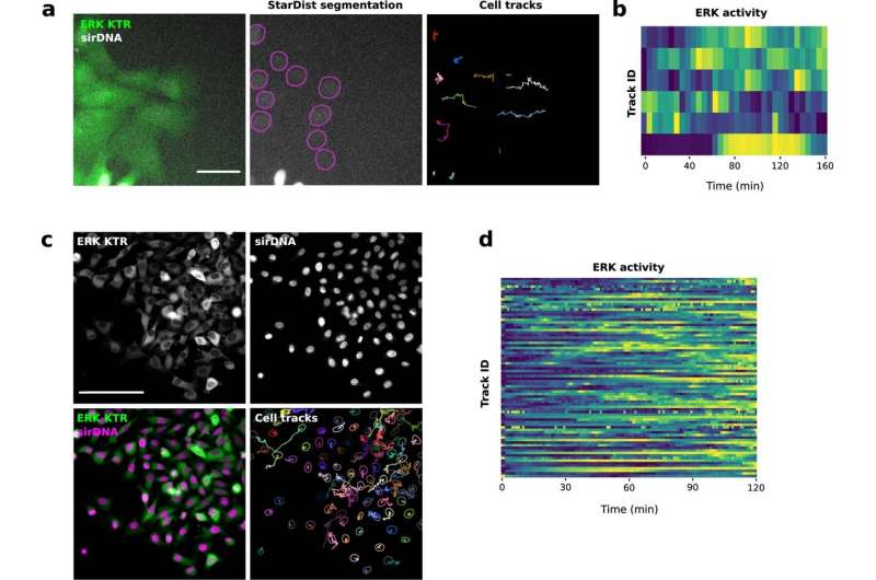 New AI solutions help scientists track objects in images; will aid discoveries in life sciences